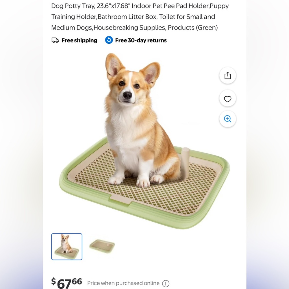 Dog Training Potty Tray